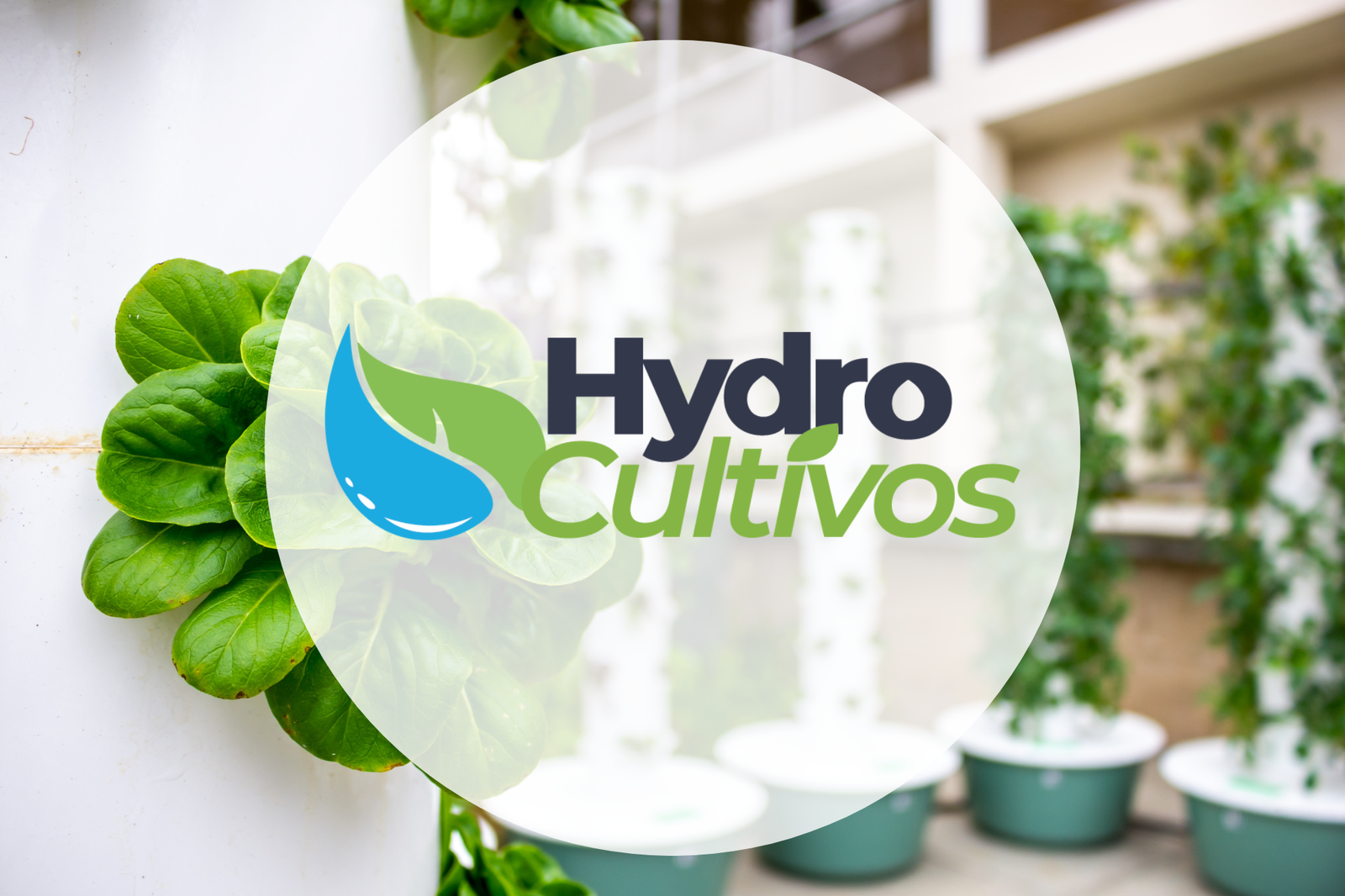 Hydrocultivos 🌿