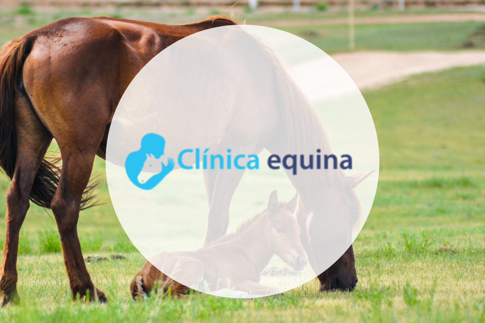 Clínica Equina 🐴